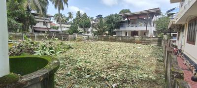 Kottappuram Plot View 3