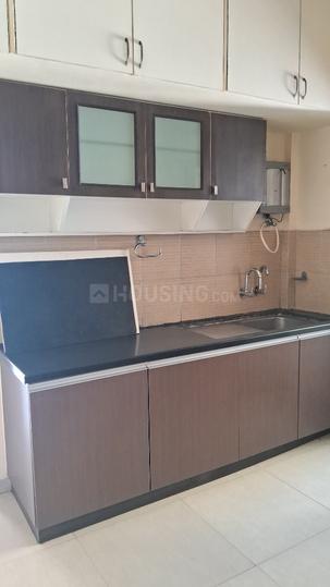 Pride Platinum Main Image 1