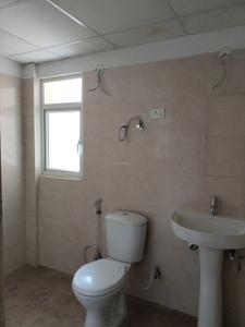 Common Bathroom Image of 975 Sq.ft 2 BHK Apartment / Flat for sale in Amrapali Verona Heights, Noida Extension Greater Noida for Rs. 7142500