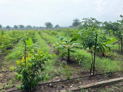 Image of 12200 Sq.ft Residential Plot / Land for sale in Bhatagaon, Raipur for Rs. 5475000
