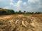 Barwada panduki pandit basti Plot View 2