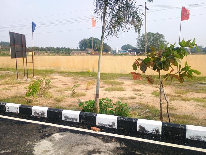 Madras Pandian Elite Garden Main Image 1