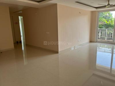 Hall Image of 2150 Sq.ft 3 BHK Apartment / Flat for rent in Morabadi Ranchi for Rs. 30000