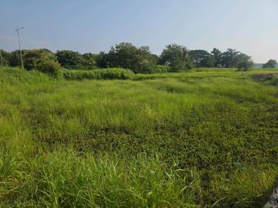 Image of 1089 Sq.ft Residential Plot / Land for sale in Vasai West, Vasai for Rs. 4450000