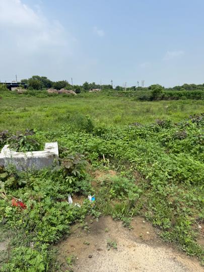 Maincha Main Image 1