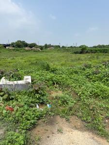 Maincha Plot View 1