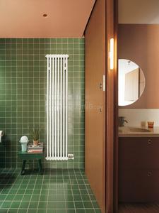 Bathroom Image of 2900 Sq.ft 5 BHK Apartment / Flat for sale in Rustomjee Seasons Wing B, Bandra East Mumbai for Rs. 160000000