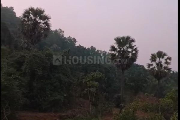 Derlakatte Main Image 1