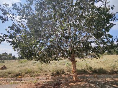 Image of 2499 Sq.ft Residential Plot / Land for sale in Telecom Greenfield, Chikkajala, Bengaluru for Rs. 20000000