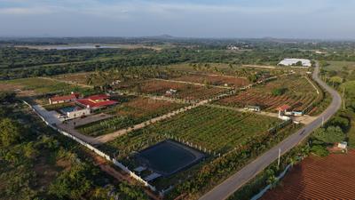 Image of 6000 Sq.ft Residential Plot / Land for sale in Neralu Farms Korlaparthi, Chikkaballapura Town, Chikballapur District for Rs. 2970000
