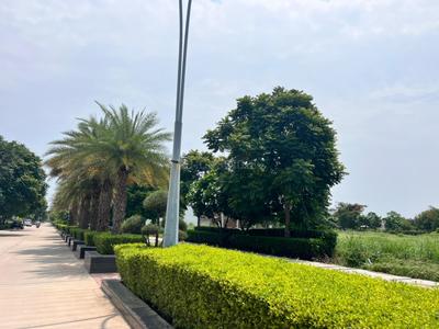 Image of 180 Sq.ft Residential Plot / Land for sale in Omaxe Phase 3 Mullanpur, New Chandigarh, Chandigarh for Rs. 27000000