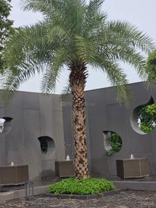 Image of 1500 Sq.ft Residential Plot / Land for sale in Kachana, Raipur for Rs. 6300000