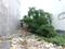 Shyam Vihar - II, Deenpur Plot View 1