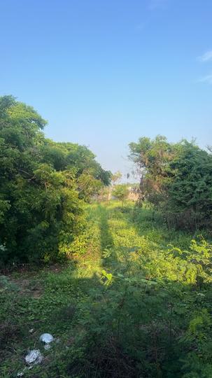 Muttukadu Main Image 1