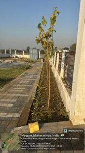 Image of 946 Sq.ft Residential Plot / Land for sale in Shankarpur, Nagpur for Rs. 3240000