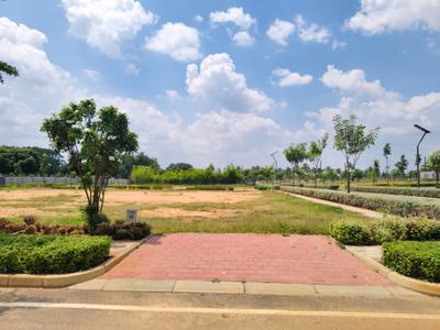 Residential Plot