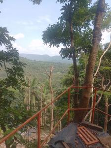 Image of 31798 Sq.ft Residential Plot / Land for sale in Killannur, Thrissur for Rs. 5500000