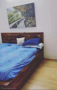 Image of 1215 Sq.ft 2 BHK Apartment / Flat for rent in Mahaveer Jonquil, JP Nagar, Bangalore for Rs. 45800