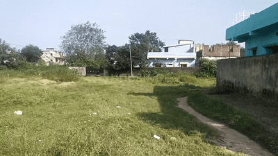 Hatia Plot View 3