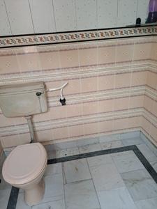 Bathroom Image of PG for girls  in University Enclave, New Delhi