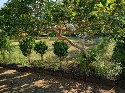 Image of 31581 Sq.ft 5 BHK Farm House for sale in Talere Naka, Sindhudurg for Rs. 20000000