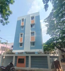 3 BHK Flat