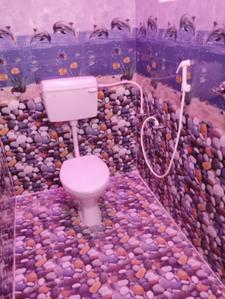Bathroom Image of 450 Sq.ft 1 RK Independent House for rent in Oragadam Ambattur Chennai for Rs. 7000
