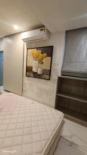 Dosti Flamingos Main Image 1