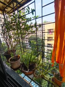 Balcony Image of 750 Sq.ft 2 BHK Apartment / Flat for sale in Kashish Park, Dharamveer Nagar Thane for Rs. 13500000