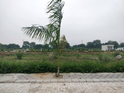 Image of 179 Sq.ft Residential Plot / Land for sale in Mansha Orchid, Khera Village, Faridabad for Rs. 13500000