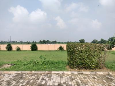 Image of 128 Sq.ft Residential Plot / Land for sale in Tajupur, Faridabad for Rs. 13056000