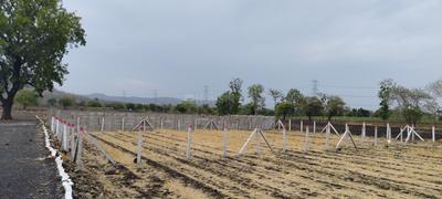 Image of 5000 Sq.ft Residential Plot / Land for sale in Simrol, Indore for Rs. 1500000