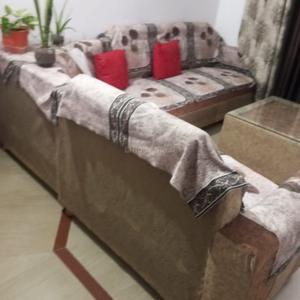 Bedroom Image of 1800 Sq.ft 2 BHK Apartment / Flat for rent in GBM Shiva Enclave, Aujala Mohali for Rs. 20000