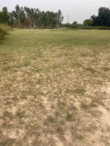 Image of 40000 Sq.ft Residential Plot / Land for sale in Sandila, Hardoi for Rs. 9900000