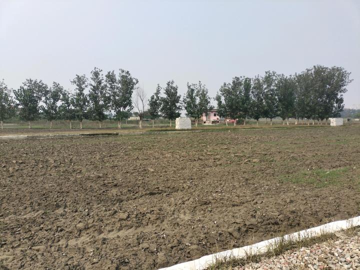 Kakrala Main Image 1