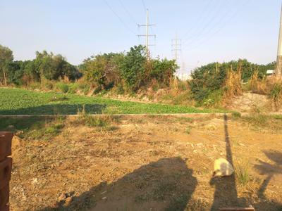 Image of 900 Sq.ft Residential Plot / Land for sale in Basantpur Saitli, Ghaziabad for Rs. 3999000