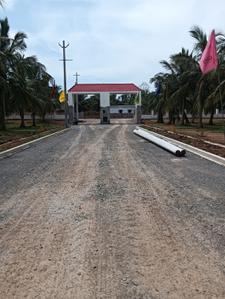 Bhogapuram Plot View 3