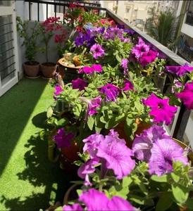 Balcony Image of 1665 Sq.ft 3 BHK Apartment / Flat for sale in Paras Manyata Apartment, Thanisandra Bengaluru for Rs. 15700000