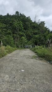 Image of 1260 Sq.ft Residential Plot / Land for sale in Sahastradhara, Dehradun for Rs. 6300000
