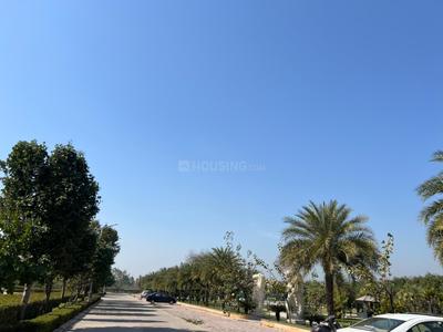 Image of 115 Sq.ft Residential Plot / Land for sale in Omaxe Phase 3 Mullanpur, New Chandigarh, Chandigarh for Rs. 16000000