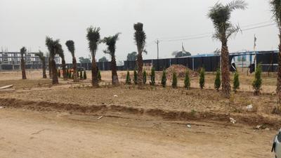 Image of 1167 Sq.ft Residential Plot / Land for sale in HLP Palmillas Plots, Ramgarh Bhudda, Zirakpur for Rs. 7000000