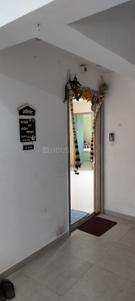 Hall Image of 677 Sq.ft 2 BHK Apartment / Flat for rent in Venkatesh Graffiti Glover , Keshav Nagar Pune for Rs. 40000