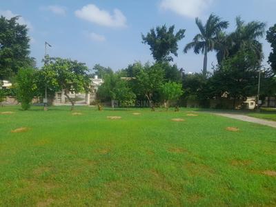 Image of 3770 Sq.ft 6 BHK Independent House for sale in Delta III, Greater Noida for Rs. 60000000