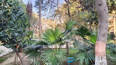 Image of 160 Sq.ft Residential Plot / Land for sale in Sector 4, Gurgaon for Rs. 38000000