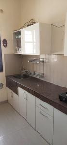 Kitchen Image of 900 Sq.ft 2.5 BHK Builder Floor for rent in Bhagwati Balaji Enclave, Chandsar Basti Bathinda for Rs. 13500
