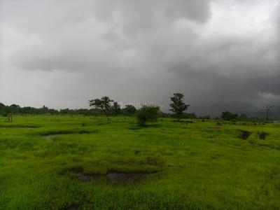 Image of 59859 Sq.ft Residential Plot / Land for sale in Murbad, Thane for Rs. 7150000