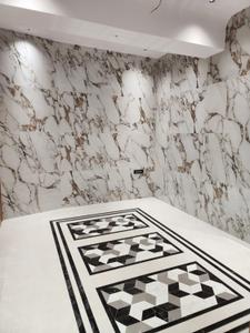 Bathroom Image of 4200 Sq.ft 5 BHK Penthouse for sale in Regency Palms, Nerul Navi Mumbai for Rs. 150000000