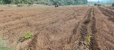 Image of 5796 Sq.ft Residential Plot / Land for sale in Narsipatnam, Visakhapatnam for Rs. 1500000