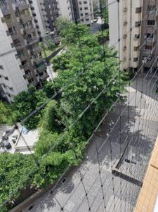 Balcony Image of 650 Sq.ft 1.5 BHK Apartment / Flat for rent in Casa Rio Viva, Palava Phase 1 Thane for Rs. 22000