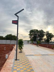 Beerihundi Plot View 3